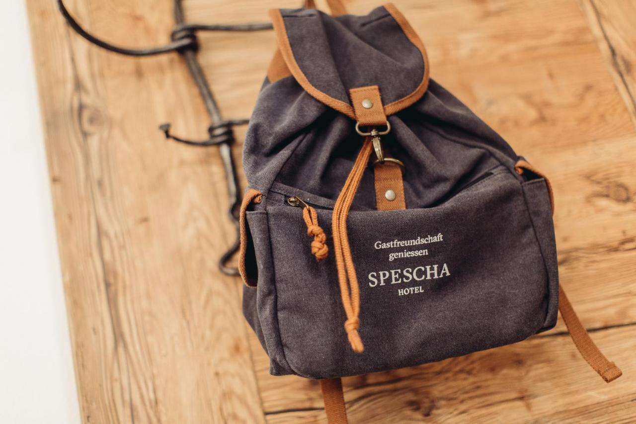 Spescha Hotel
